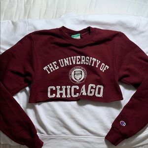 University of Chicago cropped sweatshirt